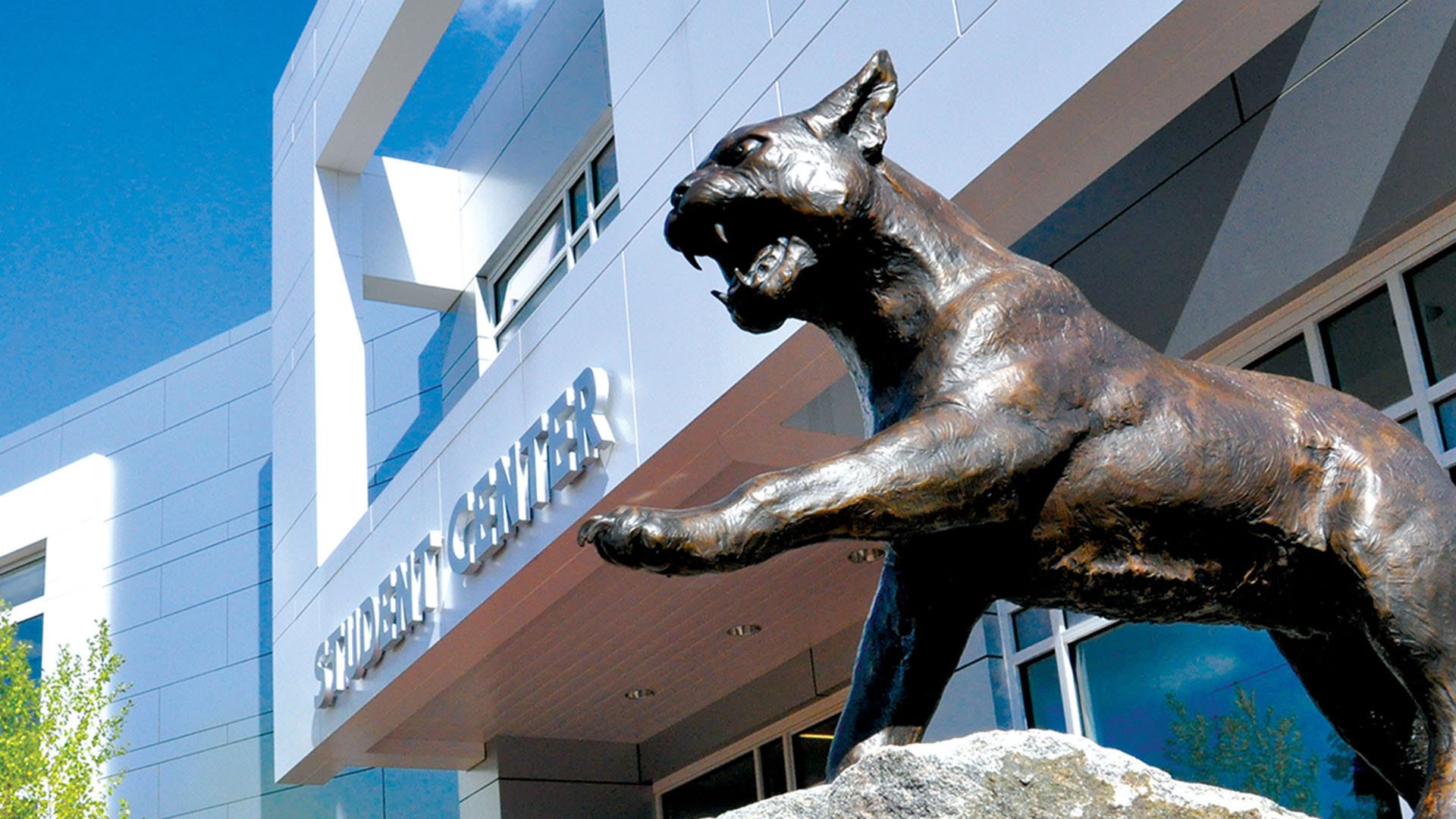 Wildcat statue outside the Student Center on the Utica campus
