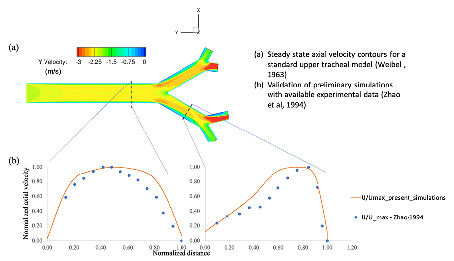 Validation Image