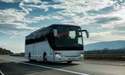 Transport Bus