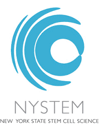 NYSTEM Logo