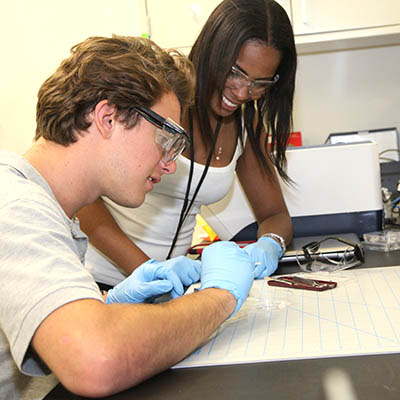 students working in a lab