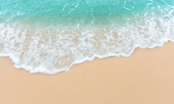 Florida Alumni Reunion