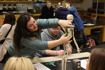 Students engaged in an anatomy lesson, with one demonstrating using a human skeleton model in a classroom setting.