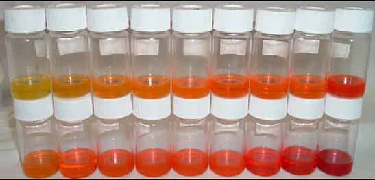 Colloidal Solutions of CdSe QDs