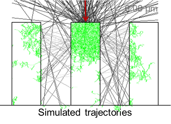 Simulated Trajectories