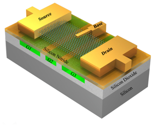 Bipolar Junction Transistor in 2D Transition Metal Dichalcogenide Semiconductors