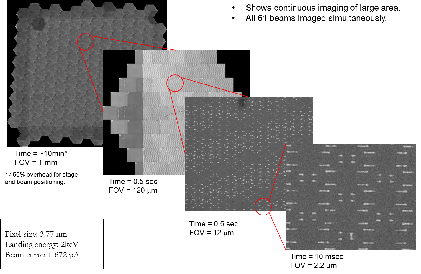 Large area map of a defect standard wafer imaged with a Zeiss MultiSEM 505