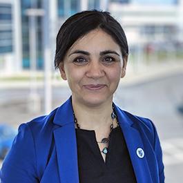 Fatemeh (Shadi) Shahedipour-Sandvik