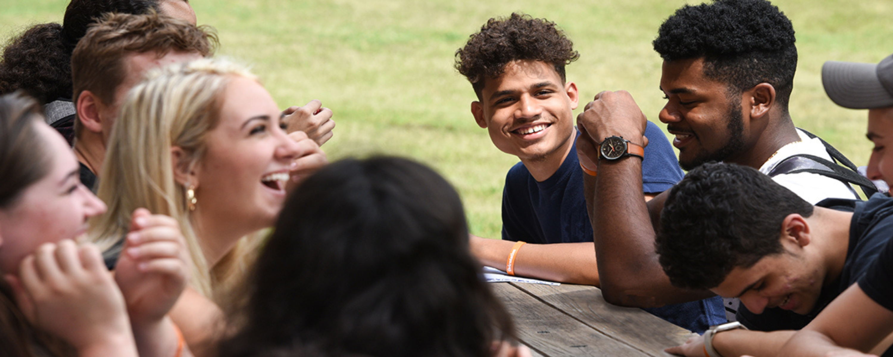 wildcats at picnic table