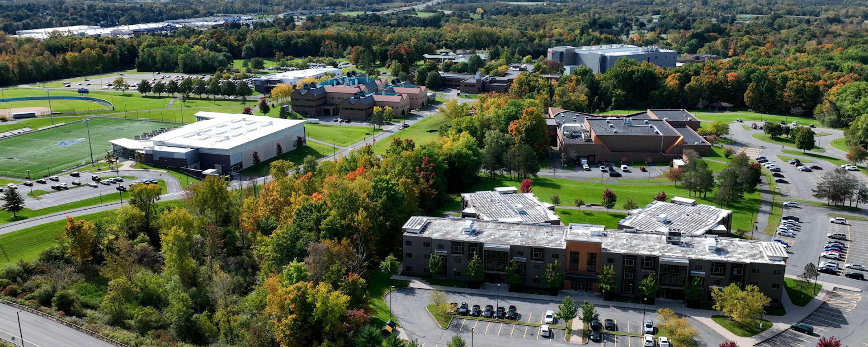 suny poly in the sky