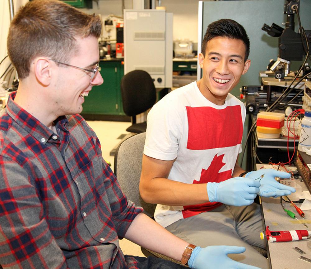 SUNY Poly summer interns at work