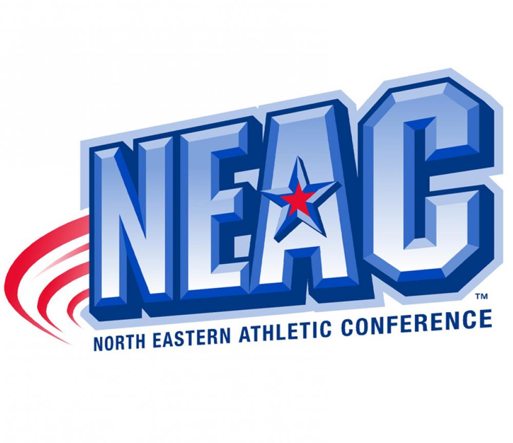 NEAC logo 800x680