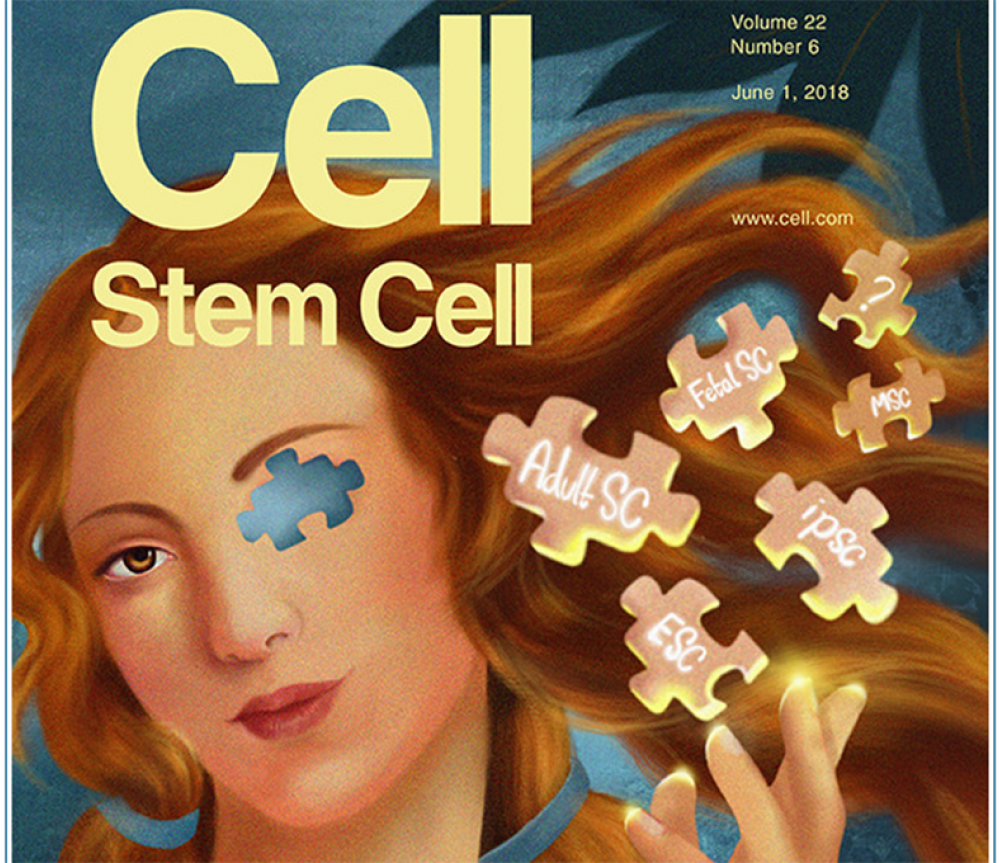 Cell Stem Cell