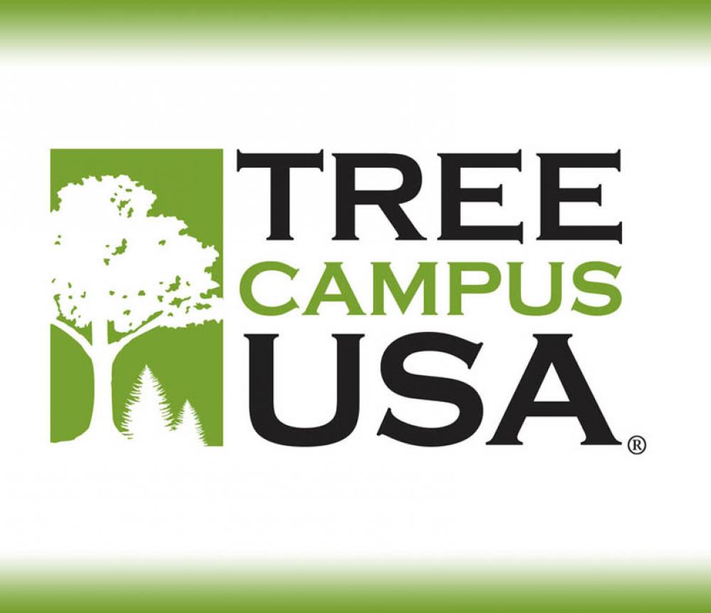 Tree Campus USA logo