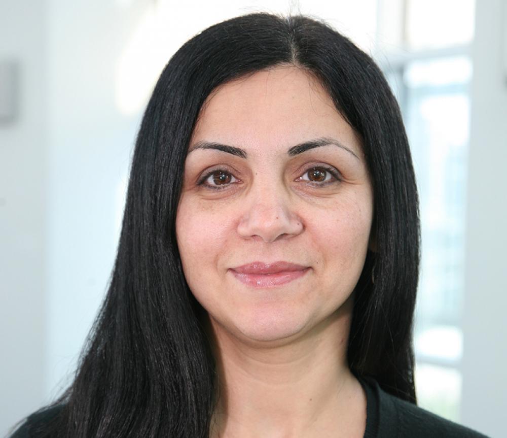 Dr. Shadi Shahedipour-Sandvik