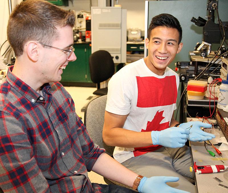 SUNY Poly summer interns at work