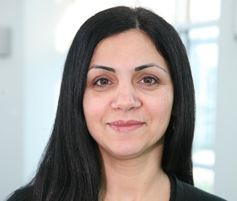 SUNY Poly professor Shadi Shahedipour-Sandvik