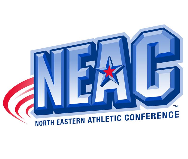 NEAC logo 800x680