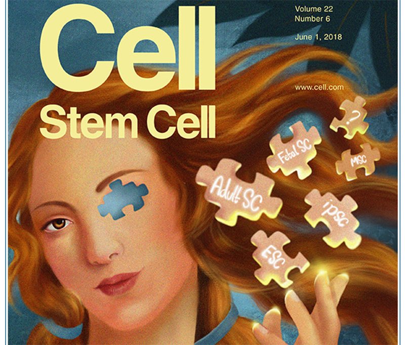 Cell Stem Cell