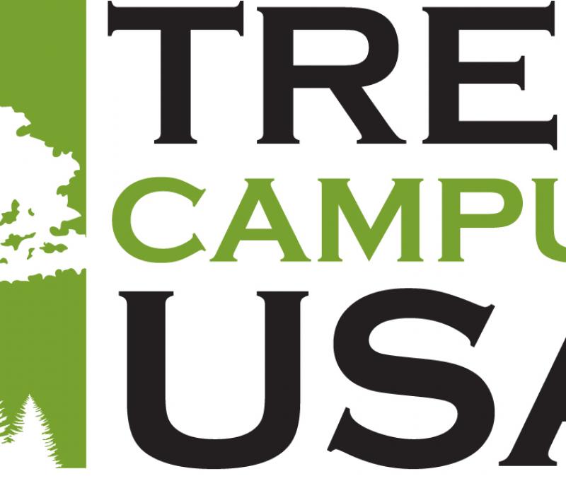 tree campus USA logo